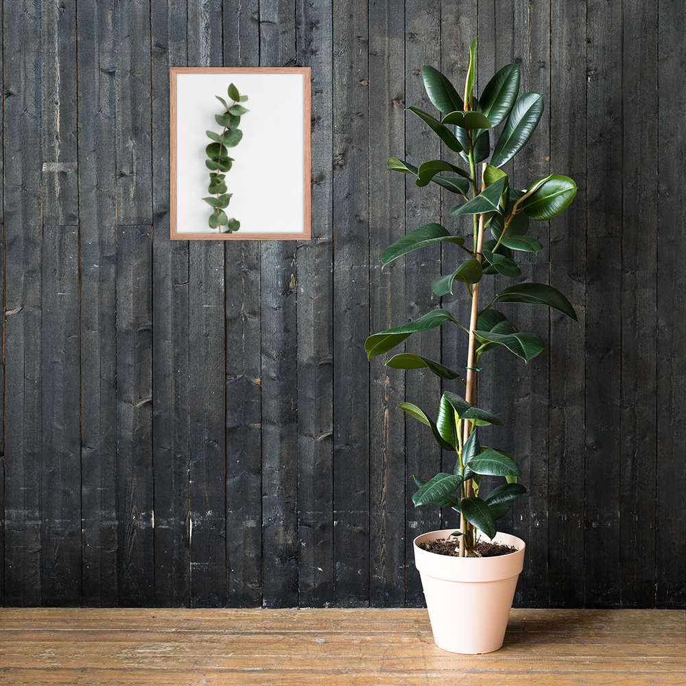 Framed Minimalist Eucalyptus Leaf Print – Modern Botanical Wall Art - StylishKnots