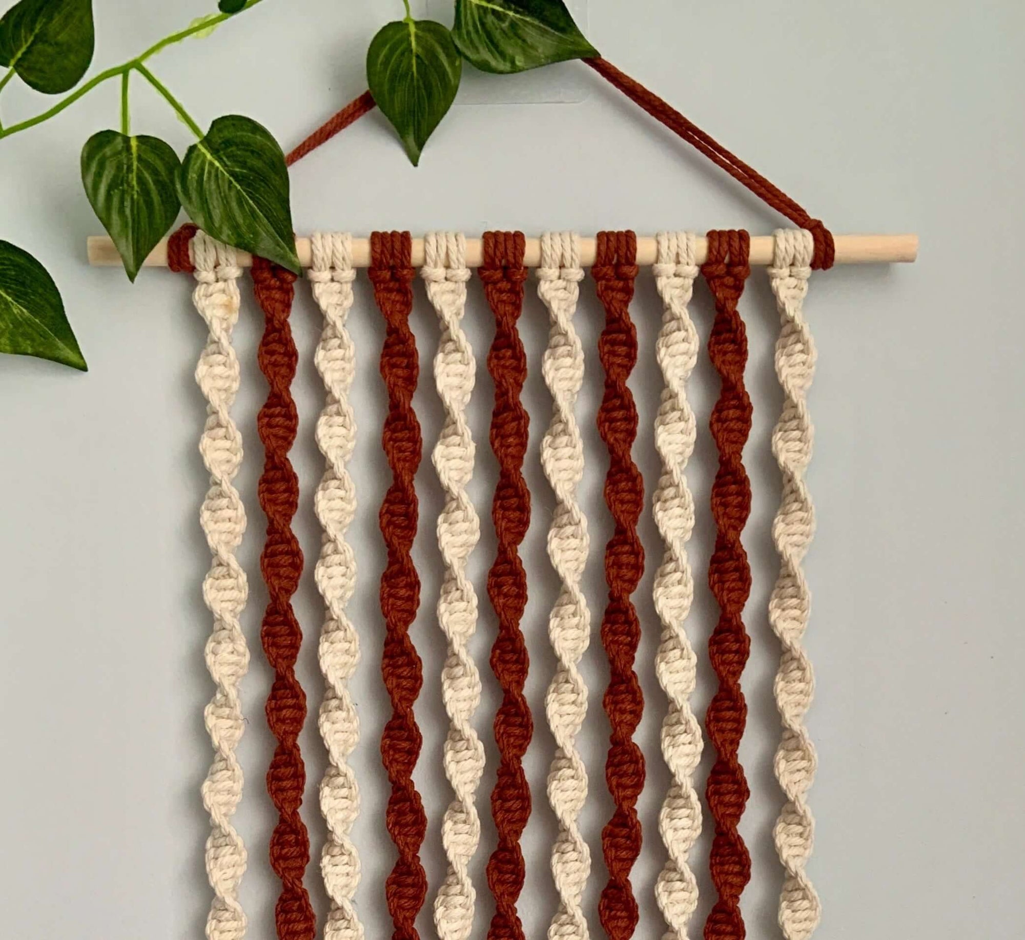 Cinnamon Twist Macrame Wall Hanging