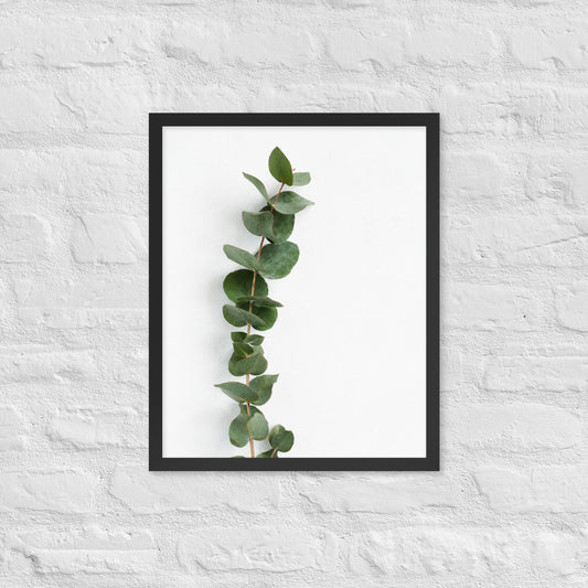 Framed Minimalist Eucalyptus Leaf Print – Modern Botanical Wall Art - StylishKnots