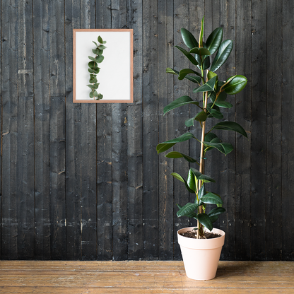 Framed Minimalist Eucalyptus Leaf Print – Modern Botanical Wall Art - StylishKnots