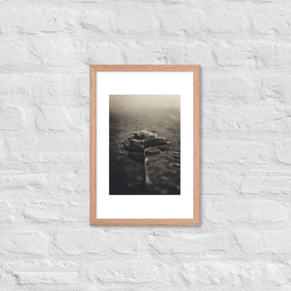 Mystical Nature Framed Poster | Serene Foggy Leaf Wall Art - StylishKnots