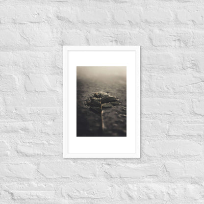 Mystical Nature Framed Poster | Serene Foggy Leaf Wall Art - StylishKnots