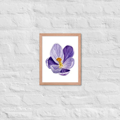 Vibrant Purple Blossom Framed Poster - Red Oak / 11″×14″