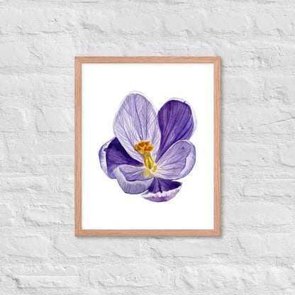 Vibrant Purple Blossom Framed Poster - Red Oak / 16″×20″