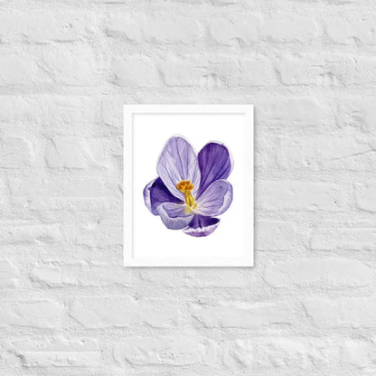 Vibrant Purple Blossom Framed Poster - White / 11″×14″